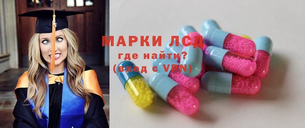 шишки Аркадак