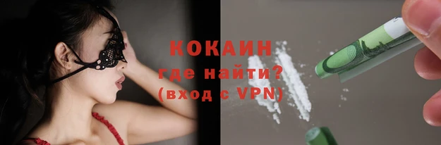 гашик Бежецк