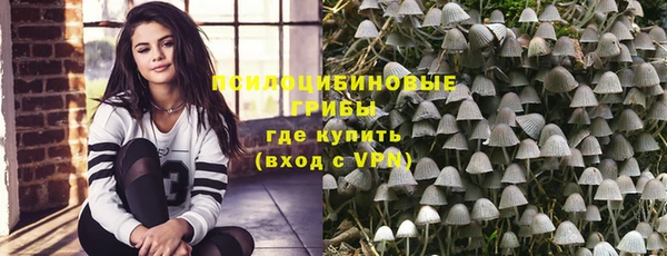 шишки Аркадак