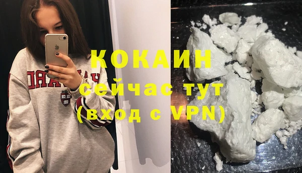 шишки Аркадак