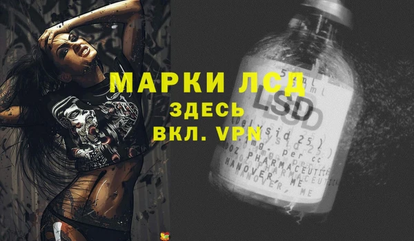 гашик Бежецк
