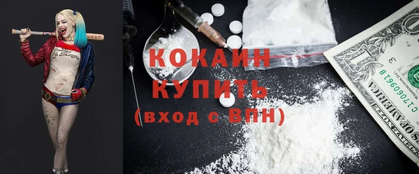 шишки Аркадак